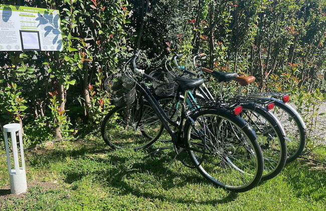 VERDERAME Rooms & Suite in Lucca - Foto 19