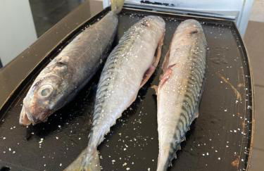 Sea and countryside, a paradise in Cantabria - Foto 58