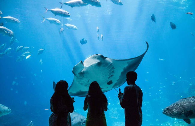 Atlanta CityPASS® - Foto 7