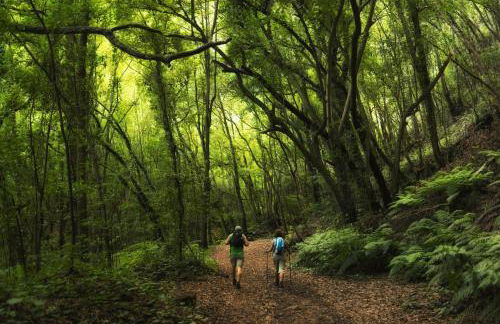 LAS MAREAS - Foto 34