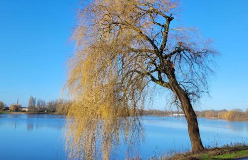 Stay at Gardi - Ferienwohnung - Foto 46
