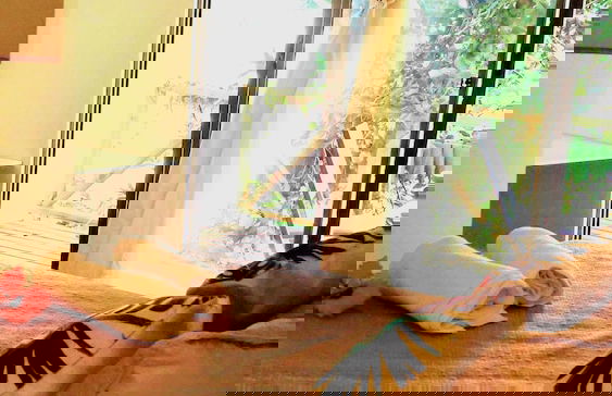 Cabañas Te Maori - Foto 4