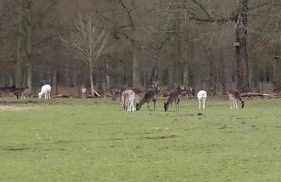 Ferienhaus Kellerwald - Foto 22