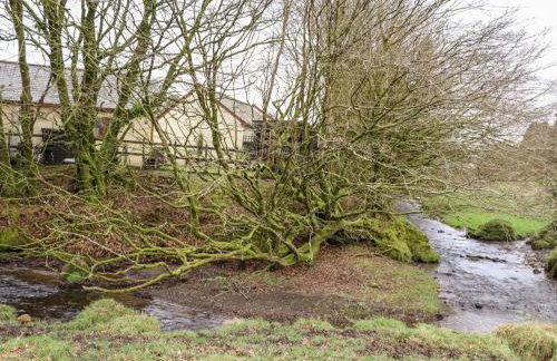 Inny Brook Cottage - Foto 26