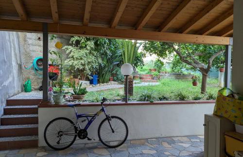 Apartment Lemon Tree - Foto 1