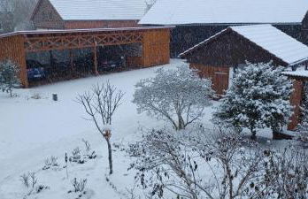 Juli's Ferienhaus im Spreewald - Foto 35