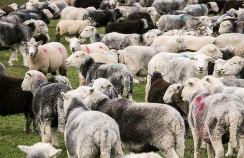 Thwaite How - Foto 35