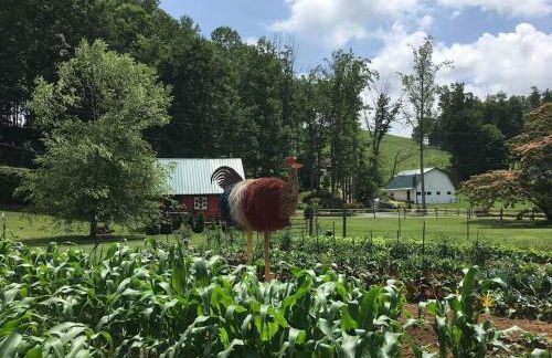 Petting Zoo! Hot Tub, 15 acres, stream & Romance! - Foto 42