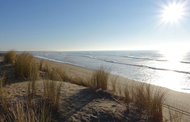 Les Sables Vignier - Foto 20