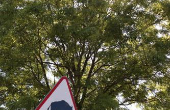 Leśna 21 Dom Południe przy PUSZCZA BIAŁOWIESKA - Foto 52