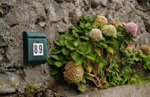 Casa dos avós - Foto 71