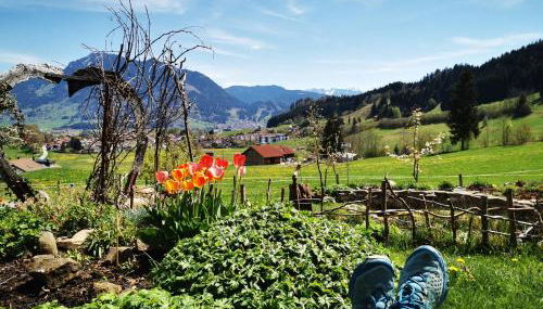 Blumenoase Allgäu - Foto 2, Garden