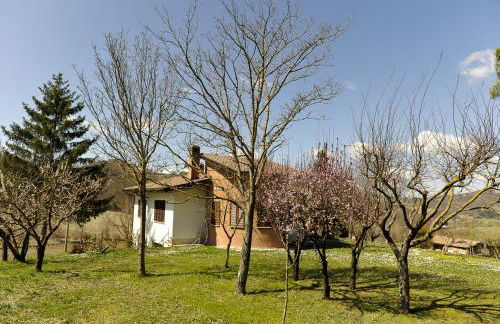 Aleanna Appartamenti - Foto 20