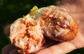 Agriturismo Ai Dossi - Foto 80