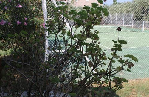 Domaine Le Clos des Oliviers - Foto 35