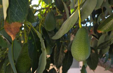 Mountains Views with Pool & Basketball, Relax & Play! - Foto 52