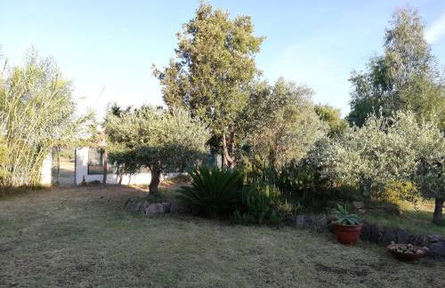 La Cuppulata - Foto 39