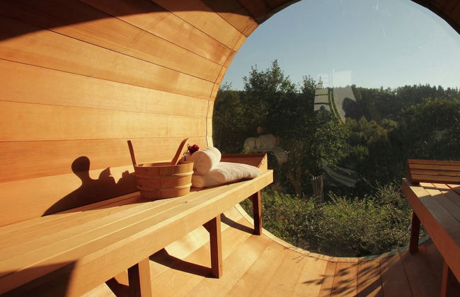 Houffalize Forest View Villa - Photo 27