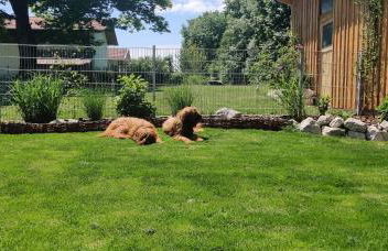Ferienwohnung Ponlach - Foto 7