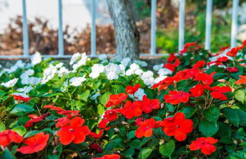 Friendly Apartments - Photo 17