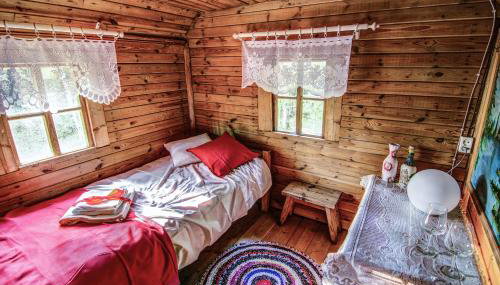 Chatka w lesie - Foto 5