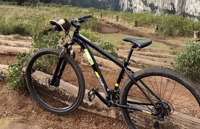 Full Day Bike Rental - Photo 4