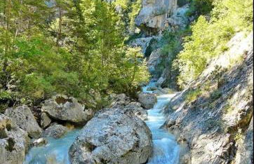 La Salamandre de l Olivier - Le Cèdre Bleu - Foto 32