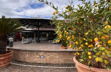 Agriturismo La Sapienza - Foto 33