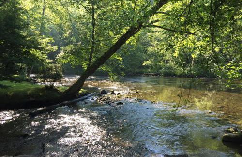 Nantahala River Luxury Escape-on the river! - Foto 16