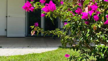 TOT apartment - Foto 4, Garden, Garden view