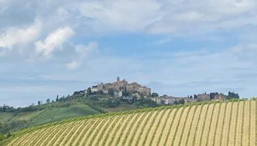 Countryhouse Gli Ulivi - Foto 3