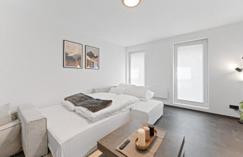 TOP Apartments - Stilvolle Wohnung mit Loggia im Stadtzentrum - Kingsize Bett - Smart TV - Netflix - 60qm - 24h Check-In - Foto 13