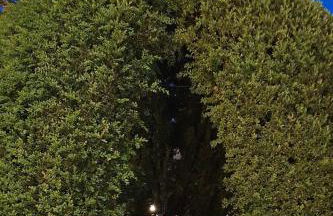 Casa Cipressino - Foto 51