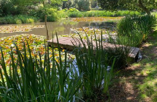 Amour Amour - Love Room - Foto 41