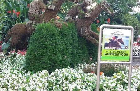 Ferienwohnung Kamerer - Foto 25