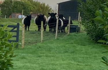 Mill Lodge - Photo 48