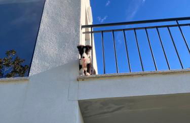 Quintinha Silvestre - Foto 54