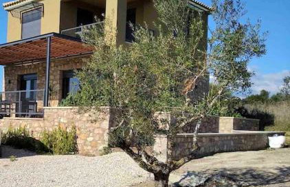 Το Σπίτι της Ελιάς - Foto 27