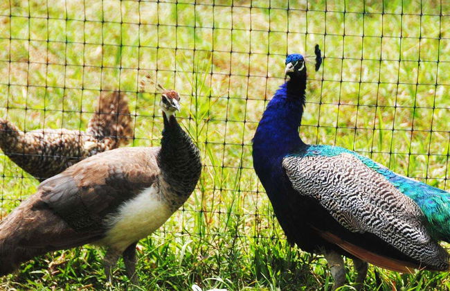 Eco Park Punta Cana Trip - Photo 6