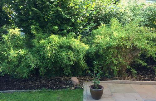 Appartement Rosengarten - Foto 10