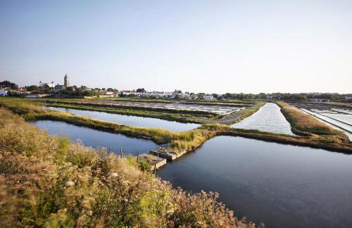 Maison pour 4 - Jardin - 400m plage des Lutins - Foto 21