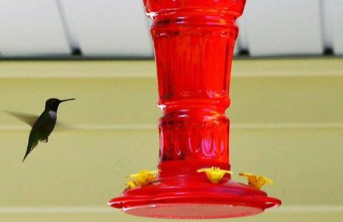 Carraig Mor Cottage - Beautiful House, Amazing Garden, Downtown Baileys Harbor - Foto 38