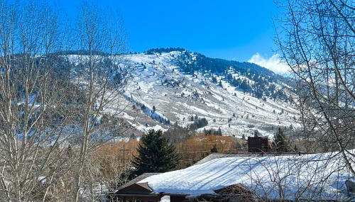 2404 Pitchfork - Foto 5