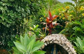 Seu Refúgio Rural Piscina Privativa e Natureza - Foto 53