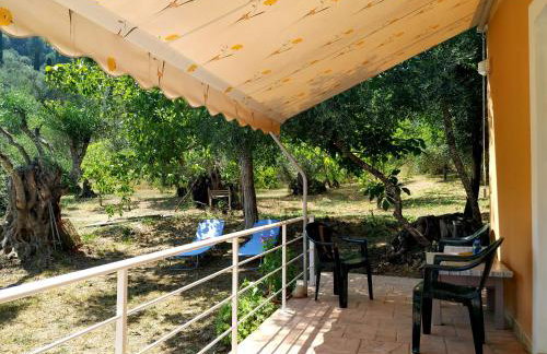 Family Holiday Apartment with garden & BBQ - Foto 70