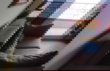 Yacht Coast - Foto 28