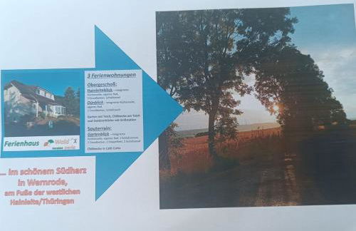 Ferienhaus Waldperle Harzblick - Foto 8