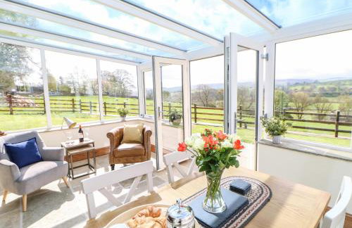 West Reins - Photo 4