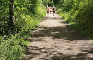 Calm & Cosy (sleeps up to 6) - Oakdene Forest Park - Foto 7