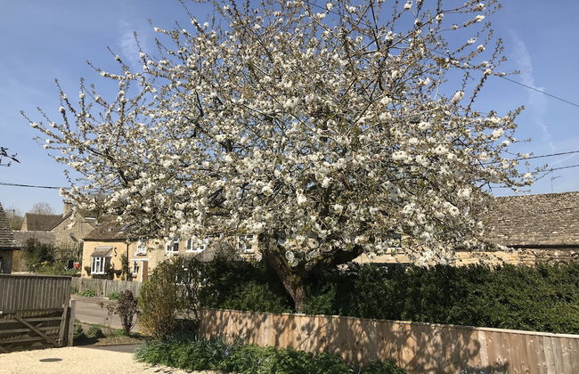 Cherry Tree Cottage - Foto 25